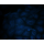 LiFluor™ 405M Fluorescent Dye (5 mg)