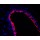 LiFluor™ 555 Fluorescent Dye (5 mg)