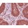 GAPDH Mouse Monoclonal Antibody (100 μl)