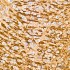 KD-Validated ATG7 Rabbit mAb (20 μl)