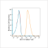 ABflo® 647 Rabbit anti-Human Cytokeratin 19 (KRT19) mAb (100 T)