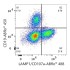 ABflo® 488 Rabbit anti-Human LAMP1/CD107a mAb (100 T)