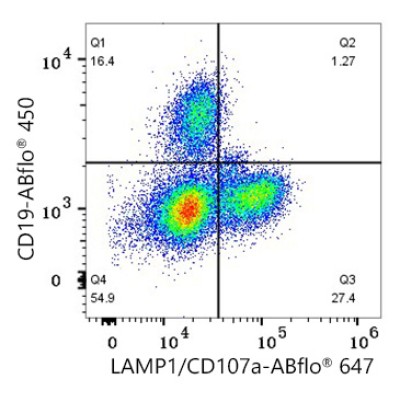 ABflo® 647 Rabbit anti-Human LAMP1/CD107a mAb (100 T)