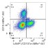 ABflo® 647 Rabbit anti-Human LAMP1/CD107a mAb (100 T)