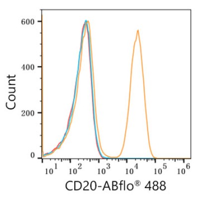 ABflo® 488 Rabbit anti-Human/Monkey CD20 mAb (100 T)