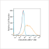 ABflo® 488 Rabbit anti-Human CEACAM6 mAb (100 T)