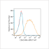 ABflo® 647 Rabbit anti-Human CEACAM6 mAb (100 T)