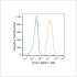 ABflo® 488 Rabbit anti-Human Integrin-β1/CD29 mAb (100 T)
