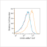 ABflo® 647 Rabbit anti-Human CD30 mAb (100 T)