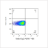 ABflo® 488 Rabbit anti-Human CD70 mAb (100 T)