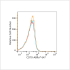 ABflo® 647 Rabbit anti-Human CD70 mAb (100 T)