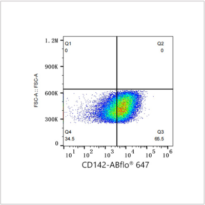 ABflo® 647 Rabbit anti-Human CD142 mAb (100 T)