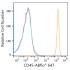 ABflo® 647 Rabbit anti-Human CD45 mAb (100 T)