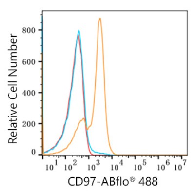 ABflo® 488 Rabbit anti-Human CD97 mAb (100 T)