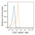 ABflo® 488 Rabbit anti-Human CD97 mAb (100 T)