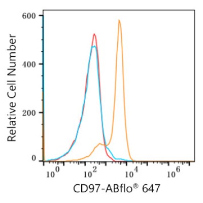 ABflo® 647 Rabbit anti-Human CD97 mAb (100 T)