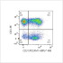 ABflo® 488 Rabbit anti-Human CD31/PECAM1 mAb (100 T)
