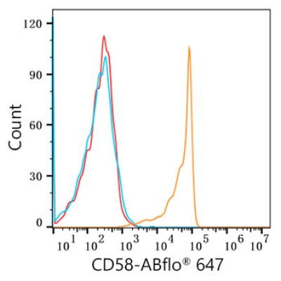 ABflo® 647 Rabbit anti-Human CD58 mAb (100 T)