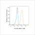 ABflo® 488 Rabbit anti-Human CD146 mAb (100 T)