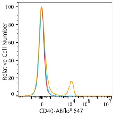 ABflo® 647 Rabbit anti-Human CD40 mAb (100 T)