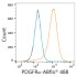 ABflo® 488 Rabbit anti-Human/Mouse PDGFRα/CD140a mAb (100 T)