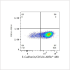 ABflo® 488 Rabbit anti-Human E-Cadherin/CD324 mAb (100 T)