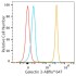 ABflo® 647 Rabbit anti-Human Galectin 3 mAb (100 T)