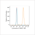 ABflo® 488 Rabbit anti-Human Cytokeratin 8 mAb (100 T)