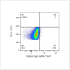 ABflo® 647 Rabbit anti-Mouse CD34 mAb (100 T)