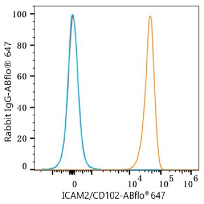 ABflo® 647 Rabbit anti-Human ICAM2/CD102 mAb (100 T)