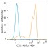 ABflo® 488 Rabbit anti-Human CD2 mAb (100 T)