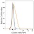 ABflo® 647 Rabbit anti-Human DC-SIGNR/CD299 mAb (100 T)