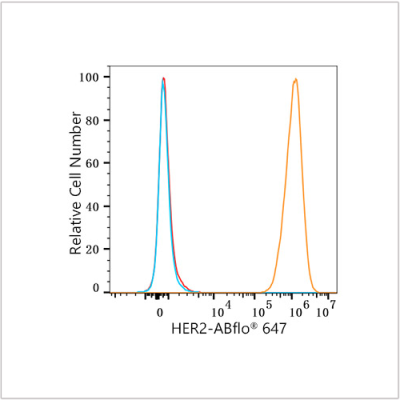 ABflo® 647 Rabbit anti-Human HER2/ErbB2 mAb (100 T)