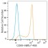 ABflo® 488 Rabbit anti-Human CD89 mAb (100 T)