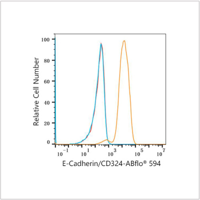 ABflo® 594 Rabbit anti-Human E-Cadherin/CD324 mAb (100 T)