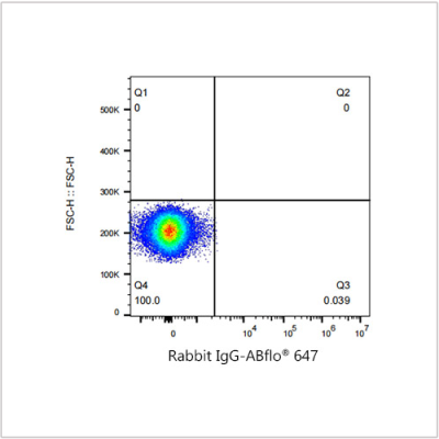 ABflo® 647 Rabbit anti-Human VCAM-1/CD106 mAb (100 T)