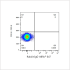 ABflo® 647 Rabbit anti-Human VCAM-1/CD106 mAb (100 T)