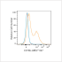 ABflo® 647 Rabbit anti-Human CD16b mAb (100 T)