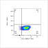 ABflo® 594 Rabbit anti-Mouse CD2 mAb (100 T)
