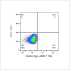 ABflo® 594 Rabbit anti-Human CD80/B7-1 mAb (100 T)