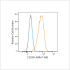ABflo® 488 Rabbit anti-Human CD200/OX2 mAb (100 T)