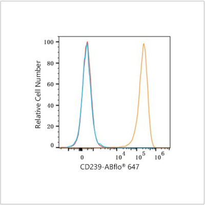 ABflo® 647 Rabbit anti-Human CD239/BCAM mAb (100 T)