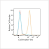 ABflo® 594 Rabbit anti-Human CD239/BCAM mAb (100 T)