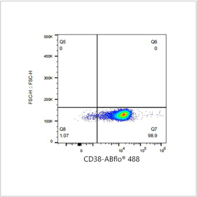 ABflo® 488 Rabbit anti-Human CD38 mAb (100 T)