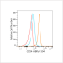 ABflo® 594 Rabbit anti-Human CD94 mAb (100 T)