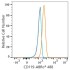 ABflo® 488 Rabbit anti-Human CD119/IFNGR1 mAb (100 T)