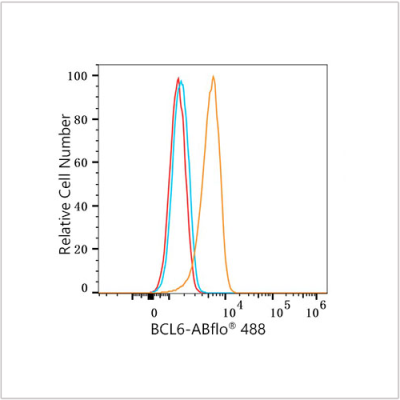 ABflo® 488 Rabbit anti-Human/Mouse BCL6 mAb (100 T)