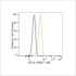 ABflo® 488 Rabbit anti-Human/Mouse BCL6 mAb (100 T)