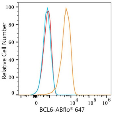 ABflo® 647 Rabbit anti-Human/Mouse BCL6 mAb (100 T)