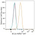 ABflo® 647 Rabbit anti-Human/Mouse BCL6 mAb (100 T)